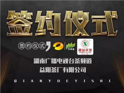湘益茯，美茗揚(yáng) 丨湘益茯茶與茶頻道達(dá)成長期戰(zhàn)略合作
