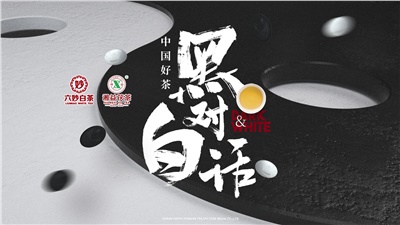 首屆黑白對(duì)話高峰論壇圓滿落幕！湘益茯茶備受關(guān)注！